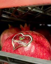 Dünyaya sebze ve meyve ihraç ediyor. Türk gıda devi iflasın eşiğinde - Resim: 4